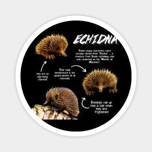 Echidna Fun Facts Magnet